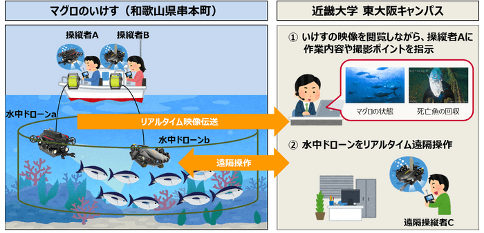 5Gを活用し水中ドローンによる完全養殖クロマグロの状態監視の実証実験を実施~近畿大学水産研究所のいけす内の映像伝送および水中ドローンの遠隔操作によりダイバーの作業代替をめざす~