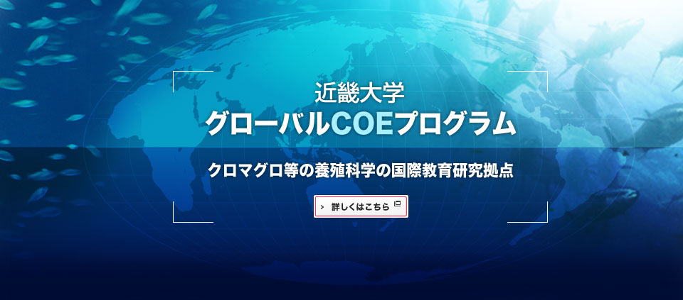 近畿大学グローバルCOEプログラム　クロマグロ等の養殖科学の国際教育研究拠点　詳しくはこちら
