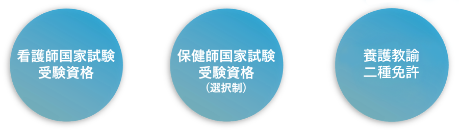 看護師国家試験受験資格、保健師国家試験受験資格（選択制）、養護教諭二種免許