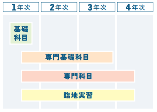 看護学部の4年間のカリキュラム